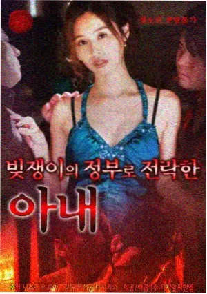 悟空影电视剧夜航西飞封面